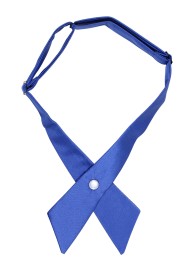Solid Satin Cross Tie in Morning Glory