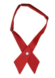 Solid Satin Cross Tie in Sedona