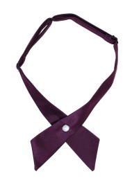Solid Satin Cross Tie in Berry