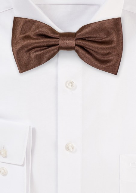 Shiny Walnut Colored Bow Tie