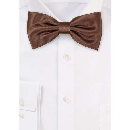Shiny Walnut Colored Bow Tie