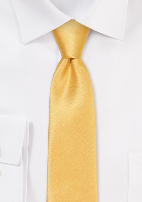 Solid Satin Skinny Tie in Golden