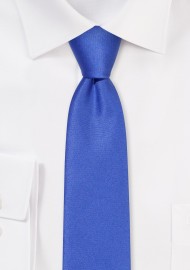 Solid Satin Skinny Tie in Morning Glory