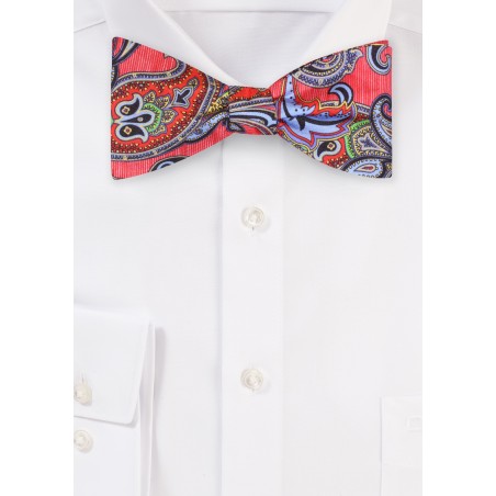 Striped Paisley Silk Bowtie in Red and Blue
