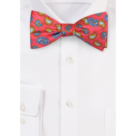 Striped Paisley Bowtie
