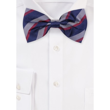 Striped Silk Bowtie in Navy, Wine, and Gray
