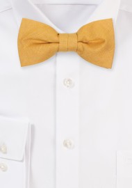 Butterscotch Line Bow Tie for Boys