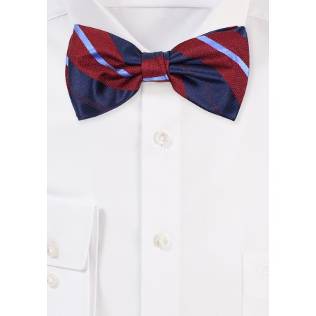 Wine, Navy, Sky Blue Bow Tie with Classic Stripes