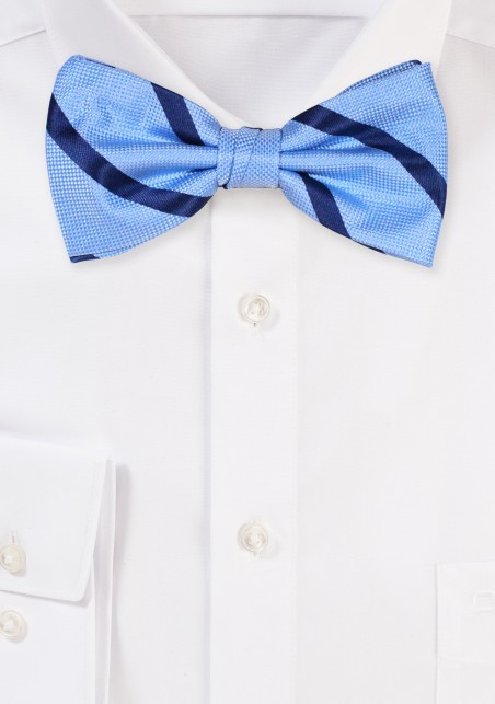 Light Blue Striped Bow Tie | Pre-Tied Bow Tie in Light Blue and Navy