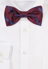 Burgundy and Navy Striped Bowtie