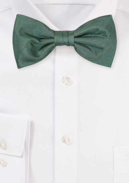 Eucalyptus Bow Tie | Mens Bow Tie in Eucalyptus Green