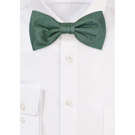Eucalyptus Bow Tie | Mens Bow Tie in Eucalyptus Green