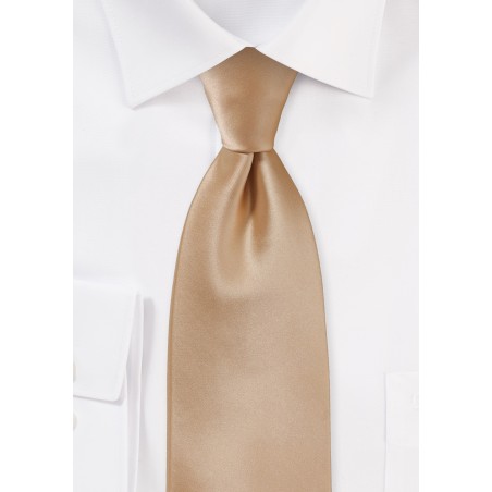 Mens XL Tie in Cappuccino Brown