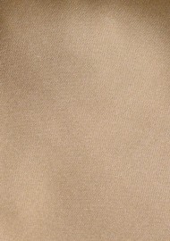 Mens XL Tie in Cappuccino Brown