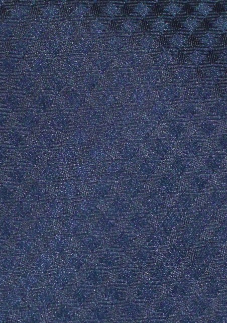 Navy Gingham Checkered Tie