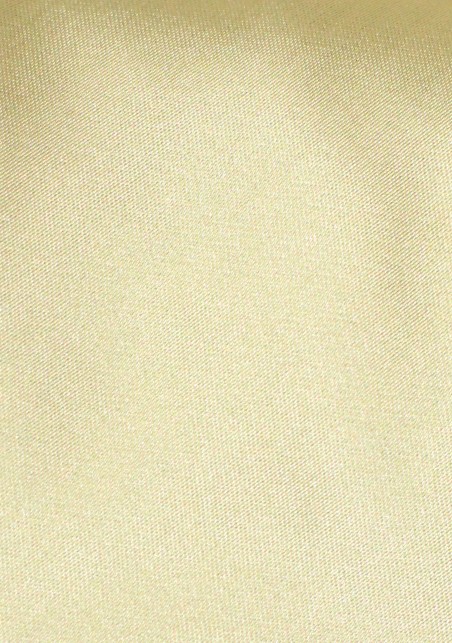Formal Tie in Gold Tan
