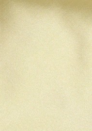 Formal Tie in Gold Tan