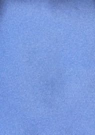 Solid Mens Necktie in Royal Blue