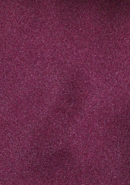 Solid Color Tie in Plum