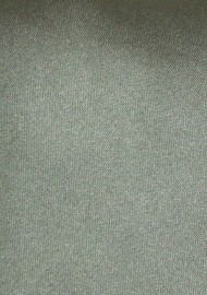 Olive Hued Kids Necktie