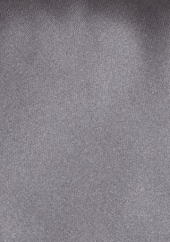 Solid Mens Neck Tie in Taupe Gray