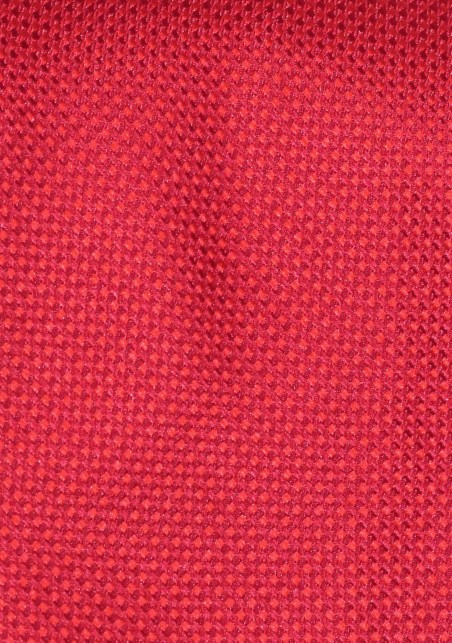 Elegant Grenadine Tie in Bright Red