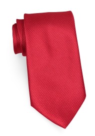 Elegant Grenadine Kids Sized Tie in Bright Red