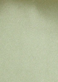Solid Necktie in Sage Green | Light Sage Green Solid Colored Mens Tie