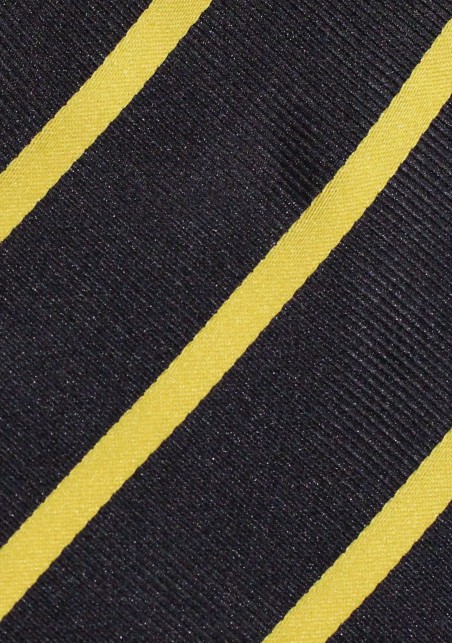 Repp-Stripe Tie in Dark Navy and Gold in Kids Length