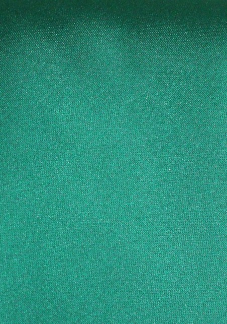 Solid Color Tie in Hunter