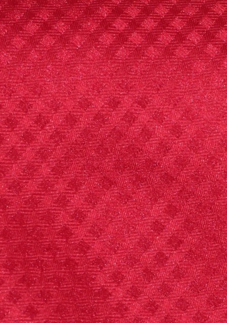 Gingham Check Tie in Red for Boys