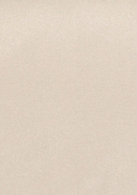 Formal Champagne Tie | Solid Satin Tie in Classic Champagne | Solid Color Necktie in Champagne