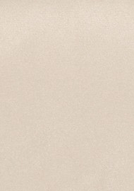 Formal Champagne Tie | Solid Satin Tie in Classic Champagne | Solid Color Necktie in Champagne