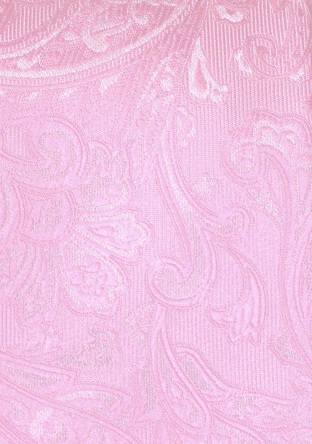 Extra Long Paisley Tie in Carnation