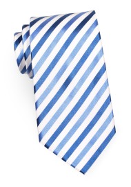 Trendy Mens Tie in Blue and White