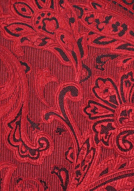 Modern Paisley Tie in Ruby Red