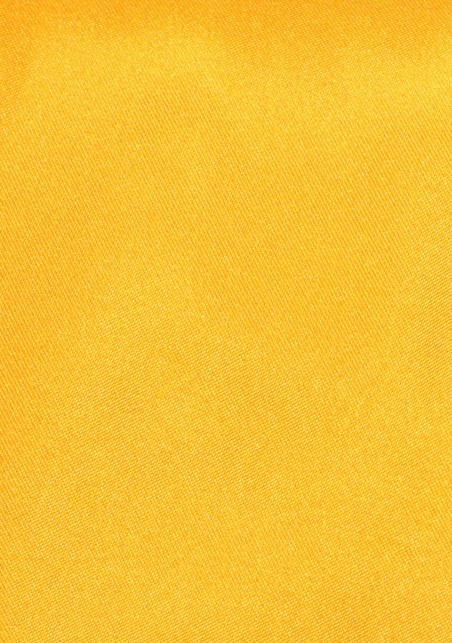 Marigold XL Length Mens Tie | XXL Tie in Marigold in Satin Finish