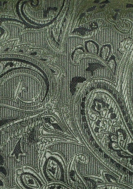 Elegant Paisley Necktie in Moss