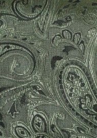 Elegant Paisley Necktie in Moss