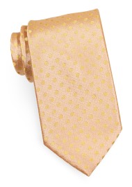 Golden Straw Colored Tie with Dots