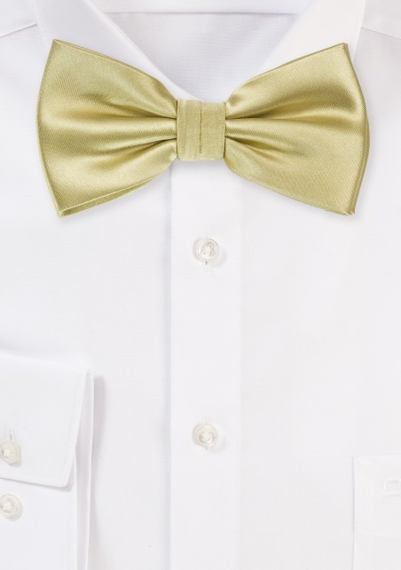 Mens Bow Tie in Champagne Ivory