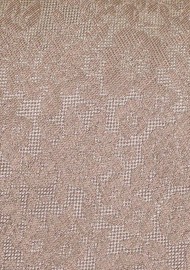 Floral Lace Tie in Champagne