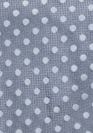 Kids Neckties | Gray Polka Dot Tie for Kids