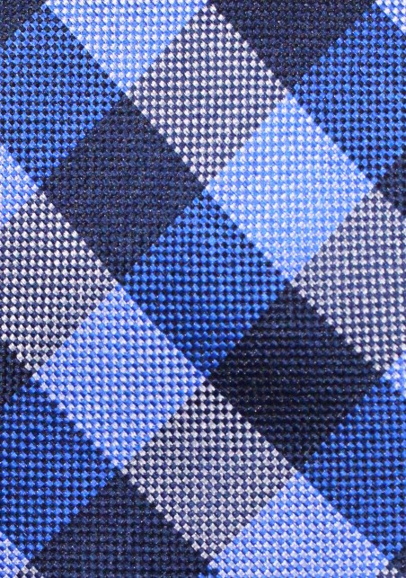 Trendy Blue Gingham Check Silk Tie