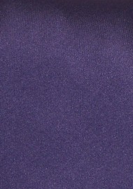 Mens Neck Tie in Solid Purple