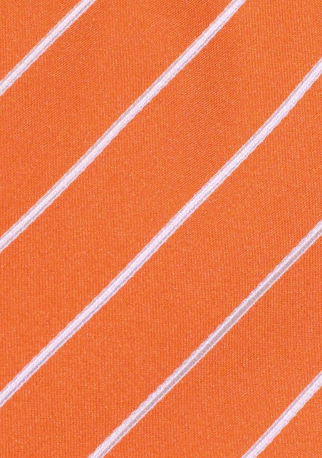 Persimmon Orange Striped Neck Tie
