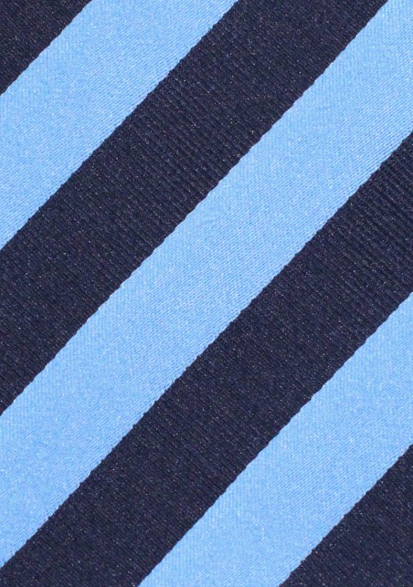 Navy Blue and Periwinkle Tie