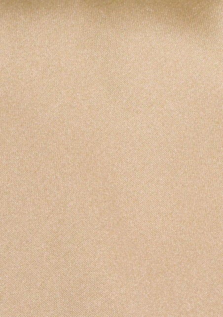 Shiny Boys Length Tie in Oatmeal Color
