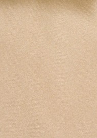 Shiny XL Sized Tie in Oatmeal Color