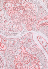 Paisley Tie in Coral Red and Silver
